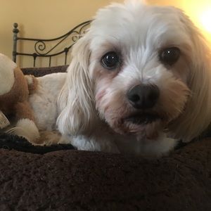 Meet your Posher, Peggy